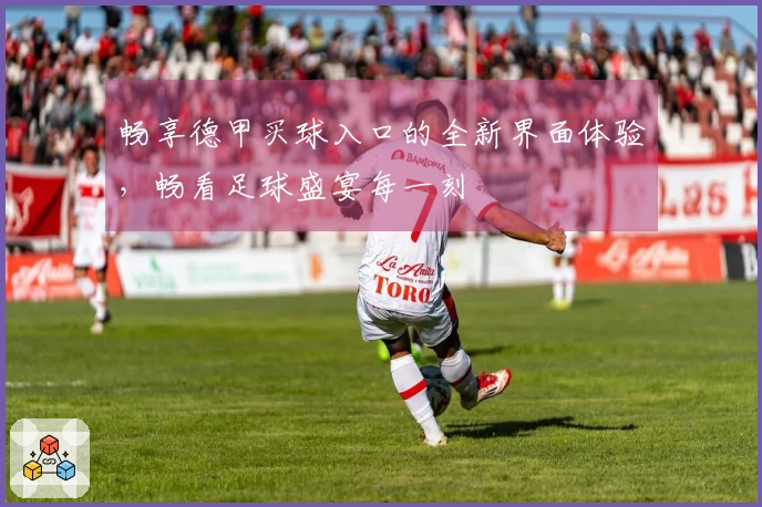 畅享德甲买球入口的全新界面体验，畅看足球盛宴每一刻